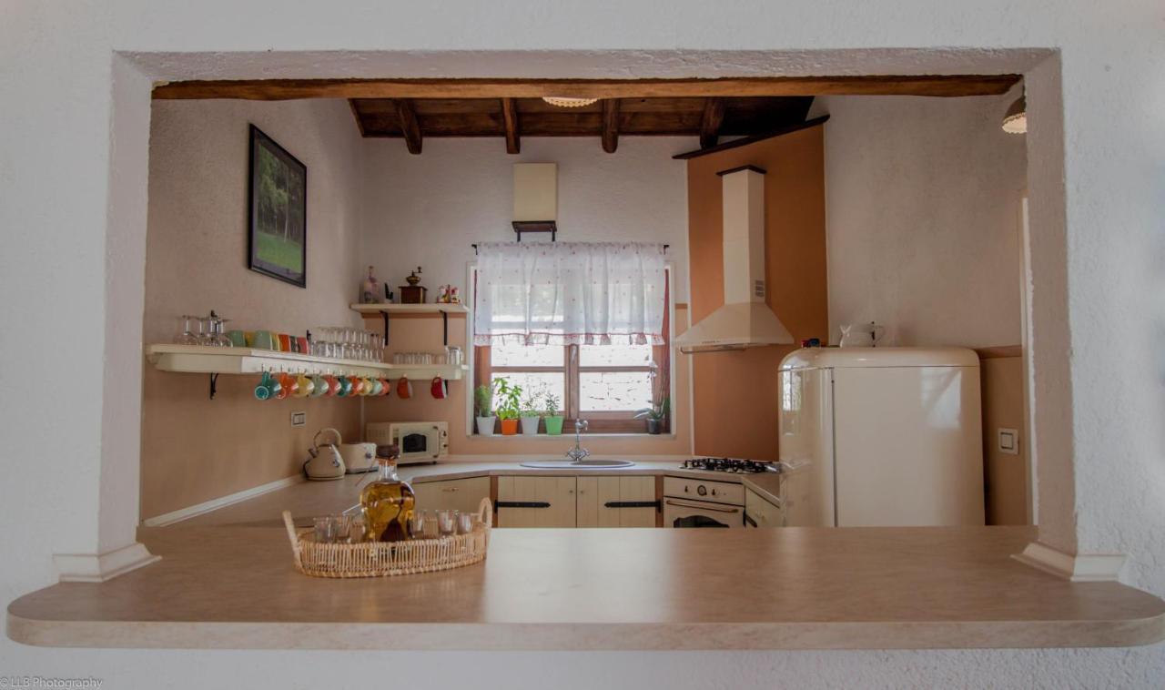 Family Villa Lipica with private pool&jacuzzi Pazin Esterno foto